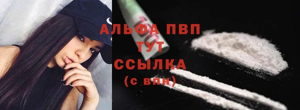 винт Арсеньев