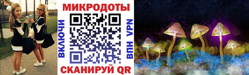 Галлюциногенные грибы Cubensis  Грязовец 